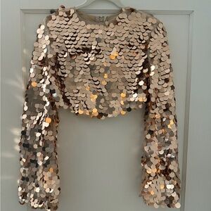 Sequin Long Sleeve Crop Top